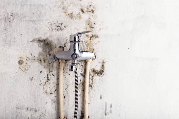 Best Industrial Mold Remediation in Pimmit Hills, VA